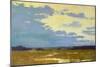 Yellow Sky-Carol Strock Wasson-Mounted Art Print