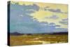 Yellow Sky-Carol Strock Wasson-Stretched Canvas