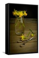 Yellow Spring Flowers Being Trimmed and Put into a Glass Vase-Cynthia Classen-Framed Stretched Canvas