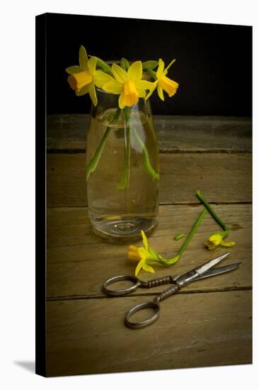 Yellow Spring Flowers Being Trimmed and Put into a Glass Vase-Cynthia Classen-Stretched Canvas