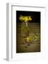 Yellow Spring Flowers Being Trimmed and Put into a Glass Vase-Cynthia Classen-Framed Photographic Print