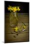 Yellow Spring Flowers Being Trimmed and Put into a Glass Vase-Cynthia Classen-Mounted Photographic Print