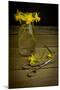 Yellow Spring Flowers Being Trimmed and Put into a Glass Vase-Cynthia Classen-Mounted Photographic Print
