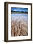 Yellow Stone National Park-cupertino-Framed Photographic Print