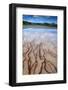 Yellow Stone National Park-cupertino-Framed Photographic Print