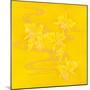 Yellow Stream-Haruyo Morita-Mounted Art Print