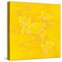 Yellow Stream-Haruyo Morita-Stretched Canvas