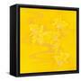 Yellow Stream-Haruyo Morita-Framed Stretched Canvas