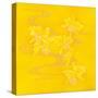 Yellow Stream-Haruyo Morita-Stretched Canvas