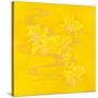 Yellow Stream-Haruyo Morita-Stretched Canvas