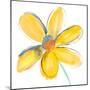 Yellow Summer Daisy-Susan Bryant-Mounted Premium Giclee Print