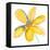 Yellow Summer Daisy-Susan Bryant-Framed Stretched Canvas