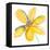 Yellow Summer Daisy-Susan Bryant-Framed Stretched Canvas