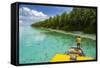 Yellow Sundeck of a Boat in the Ant Atoll, Pohnpei, Micronesia, Pacific-Michael Runkel-Framed Stretched Canvas