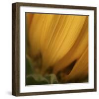 Yellow Sunflower Closeup-Anna Miller-Framed Photographic Print