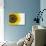 Yellow Sunflower-null-Photographic Print displayed on a wall
