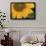 Yellow Sunflower-DLILLC-Framed Photographic Print displayed on a wall