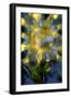 Yellow Sunflower-Mindy Sommers-Framed Giclee Print