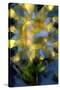 Yellow Sunflower-Mindy Sommers-Stretched Canvas