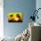 Yellow Sunset - In the Style of Oil Painting-Philippe Hugonnard-Giclee Print displayed on a wall