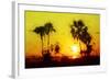 Yellow Sunset - In the Style of Oil Painting-Philippe Hugonnard-Framed Giclee Print