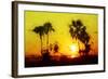 Yellow Sunset - In the Style of Oil Painting-Philippe Hugonnard-Framed Giclee Print