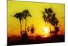 Yellow Sunset - In the Style of Oil Painting-Philippe Hugonnard-Mounted Giclee Print