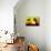 Yellow Sunset - In the Style of Oil Painting-Philippe Hugonnard-Mounted Giclee Print displayed on a wall