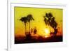 Yellow Sunset - In the Style of Oil Painting-Philippe Hugonnard-Framed Giclee Print