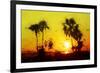 Yellow Sunset - In the Style of Oil Painting-Philippe Hugonnard-Framed Giclee Print