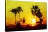 Yellow Sunset - In the Style of Oil Painting-Philippe Hugonnard-Stretched Canvas