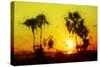 Yellow Sunset - In the Style of Oil Painting-Philippe Hugonnard-Stretched Canvas