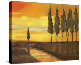 Yellow Sunset over Water I-Judith D'Agostino-Stretched Canvas