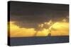 Yellow Sunset-Robert Goldwitz-Stretched Canvas