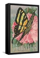 Yellow Swallowtail on Hollyhocks-null-Framed Stretched Canvas