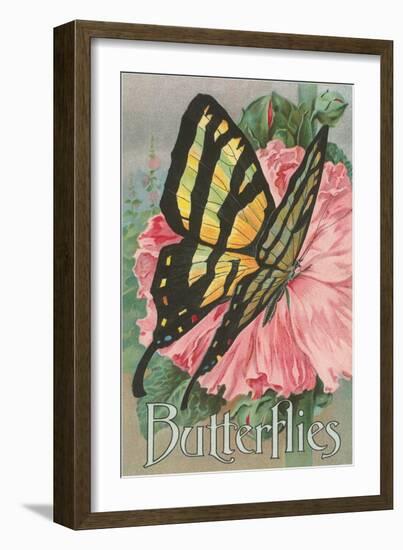 Yellow Swallowtail on Hollyhocks-null-Framed Art Print