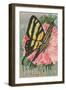 Yellow Swallowtail on Hollyhocks-null-Framed Art Print