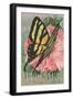 Yellow Swallowtail on Hollyhocks-null-Framed Art Print