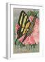 Yellow Swallowtail on Hollyhocks-null-Framed Art Print