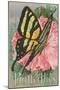 Yellow Swallowtail on Hollyhocks-null-Mounted Art Print