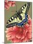 Yellow Swallowtail-Marilyn Barkhouse-Mounted Art Print