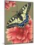 Yellow Swallowtail-Marilyn Barkhouse-Mounted Art Print