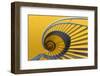 Yellow swirl-Greetje van Son-Framed Photographic Print