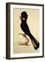 Yellow-Tailed Black Cockatoo, Calyptorhynchus Funereus-Thomas Watling-Framed Giclee Print