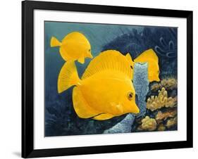 Yellow Tangs-Durwood Coffey-Framed Giclee Print