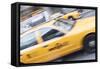 Yellow Taxi, New York, United States of America, North America-Amanda Hall-Framed Stretched Canvas