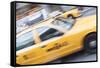 Yellow Taxi, New York, United States of America, North America-Amanda Hall-Framed Stretched Canvas