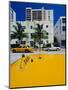 Yellow Taxi, South Beach, Miami Beach, Florida, USA-Sylvain Grandadam-Mounted Photographic Print