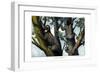 Yellow-Throated Sloth, 1860-null-Framed Giclee Print