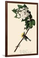 Yellow-Throated Vireo-John James Audubon-Framed Giclee Print